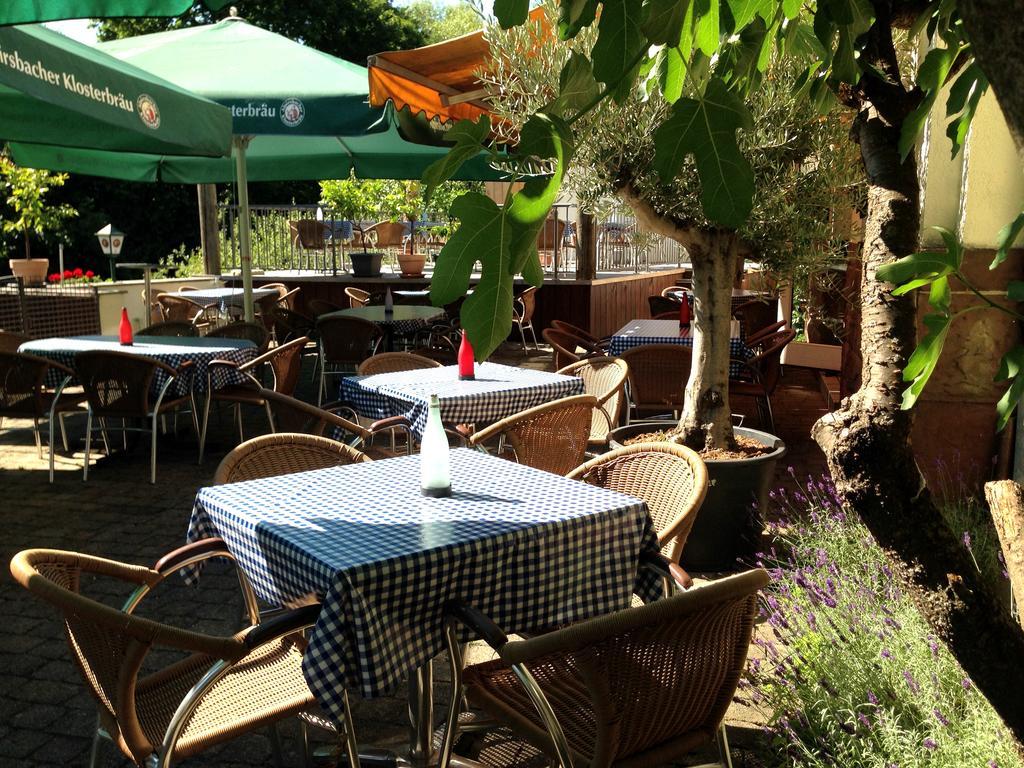 Hotel Muehleinsel Kenzingen Εξωτερικό φωτογραφία