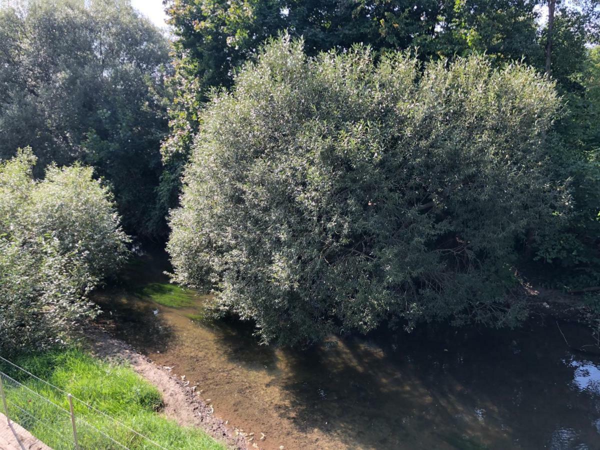 Hotel Muehleinsel Kenzingen Εξωτερικό φωτογραφία